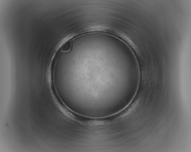 X0000113631034200909181512