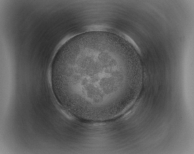 X0000113631035200909181512