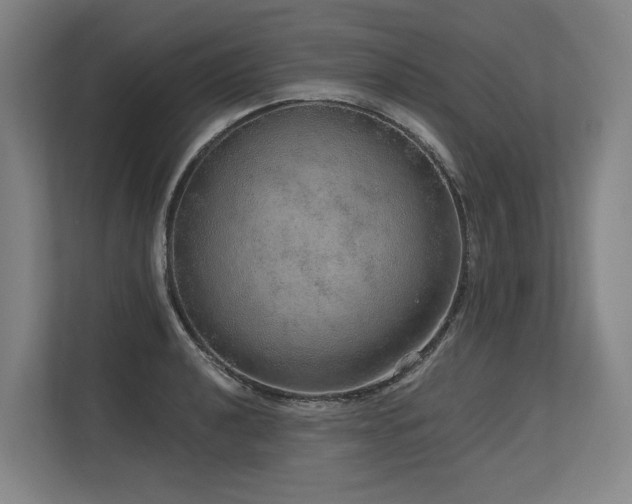 X0000113631040200909181512