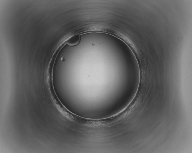 X0000113631042200909181512
