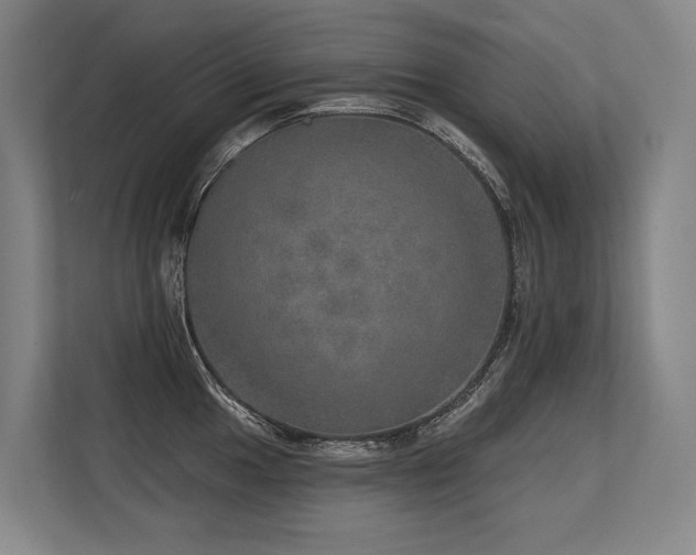 X0000113631049200909181513