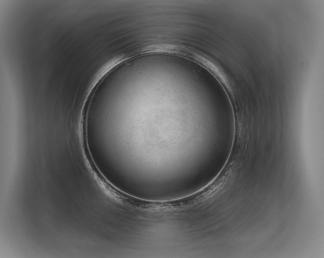 X0000113631050200909181513