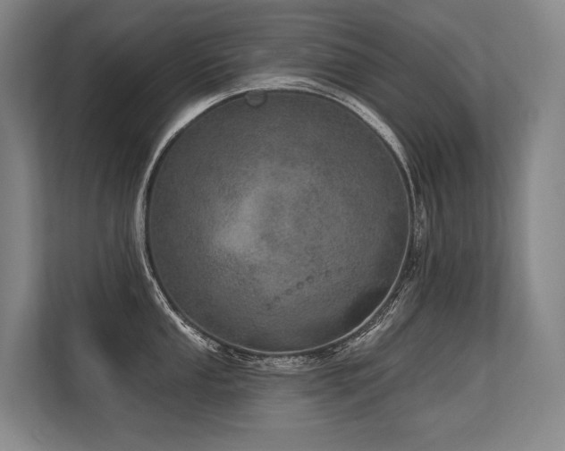 X0000113631053200909181513