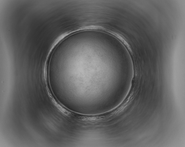 X0000113631054200909181513