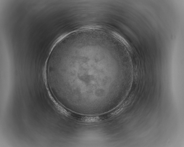 X0000113631055200909181513
