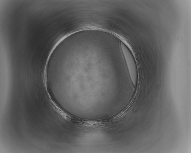 X0000113631056200909181513