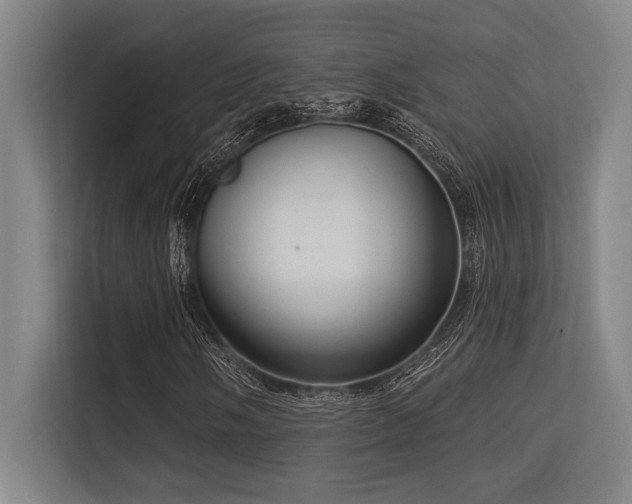 X0000113631058200909181512