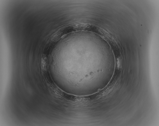 X0000113631059200909181512