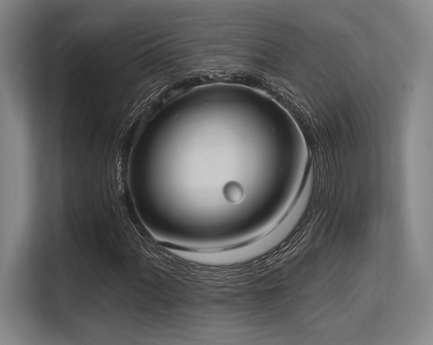 X0000113631060200909181512