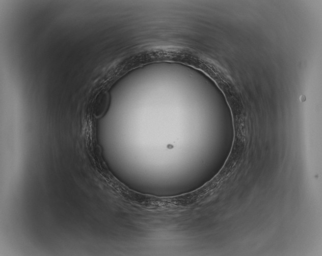 X0000113631061200909181512