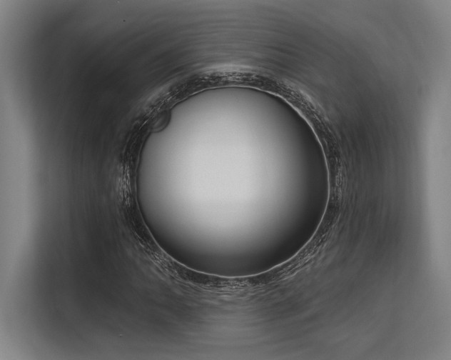 X0000113631062200909181512