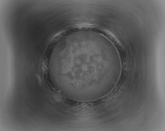 X0000113631063200909181512