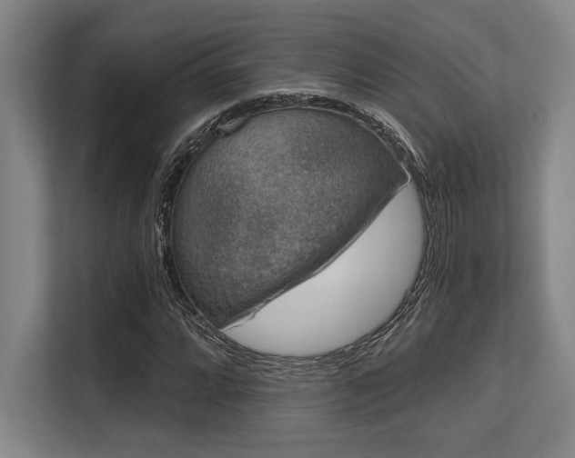 X0000113631064200909181512