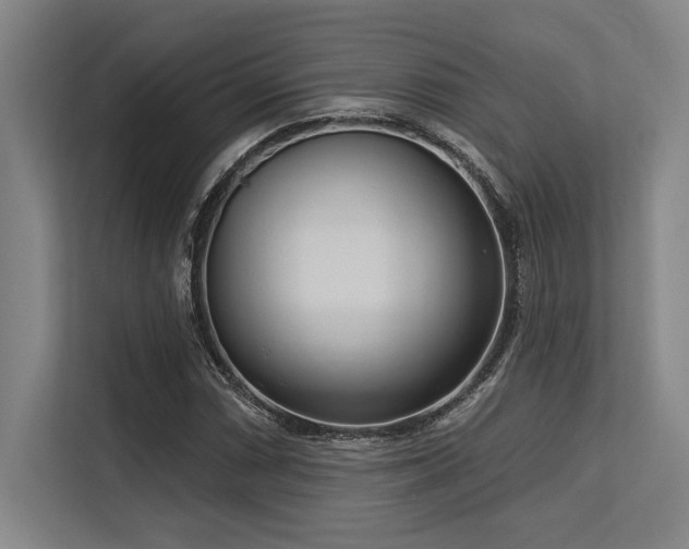X0000113631066200909181512