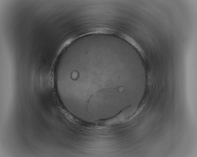 X0000113631067200909181512