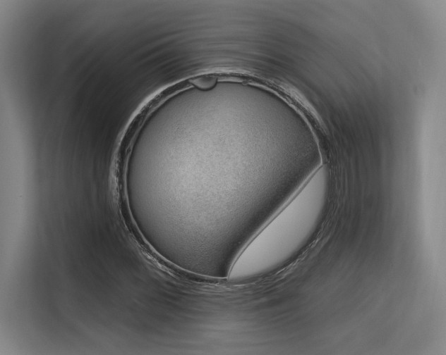 X0000113631068200909181512