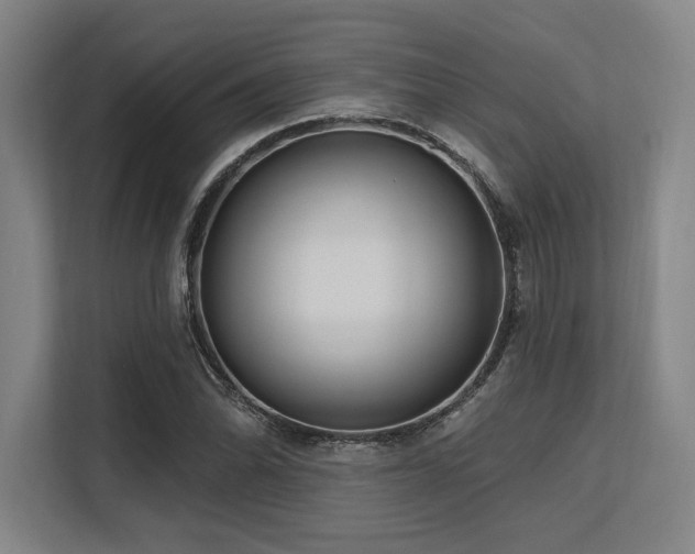 X0000113631070200909181512