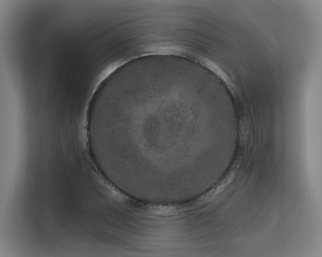 X0000113631071200909181512