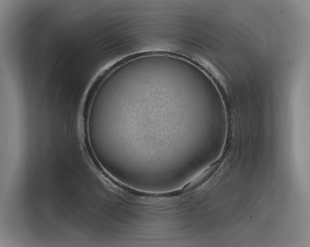 X0000113631072200909181512
