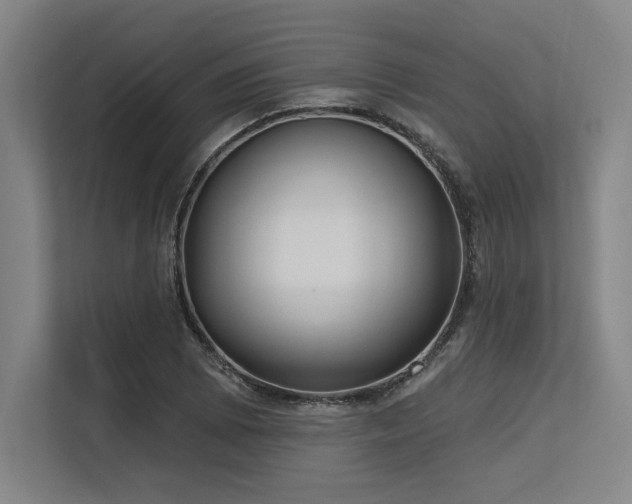 X0000113631073200909181512