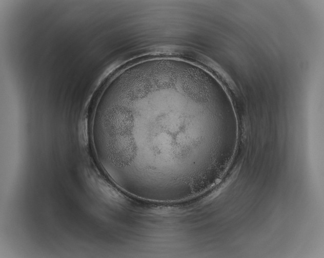 X0000113631075200909181512