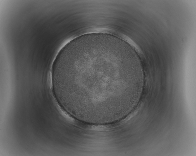 X0000113631079200909181512