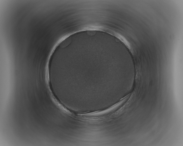 X0000113631080200909181512