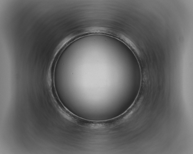 X0000113631082200909181512