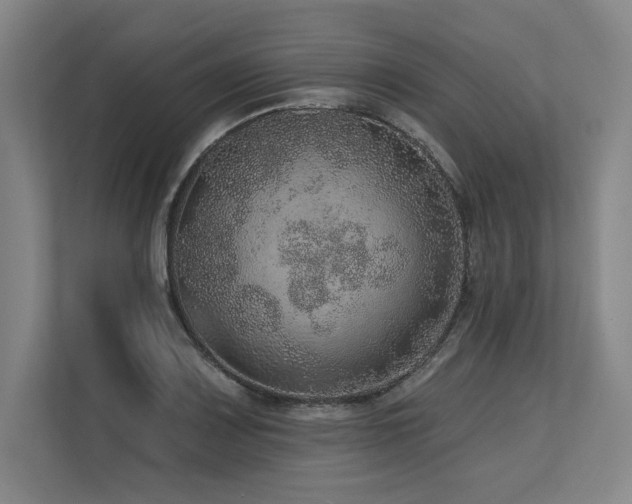 X0000113631083200909181512