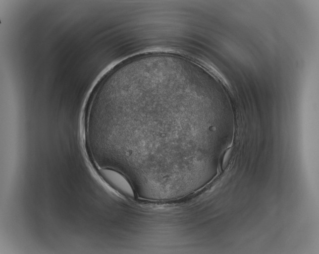 X0000113631084200909181512