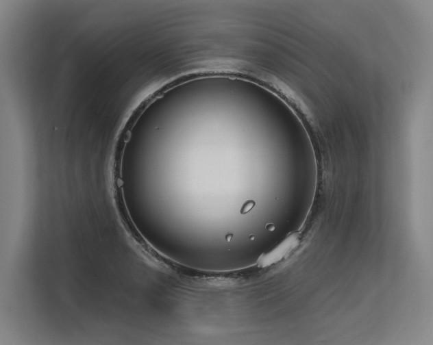 X0000113631085200909181512
