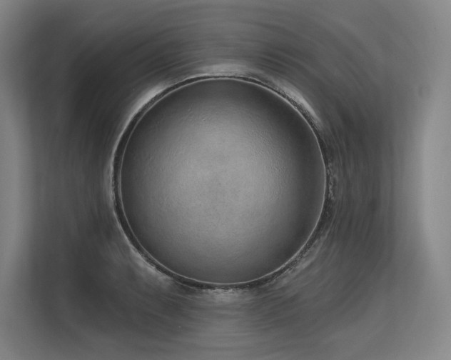 X0000113631087200909181512