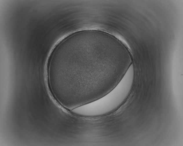 X0000113631088200909181512
