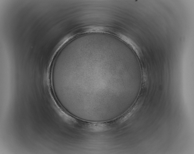 X0000113631090200909181512