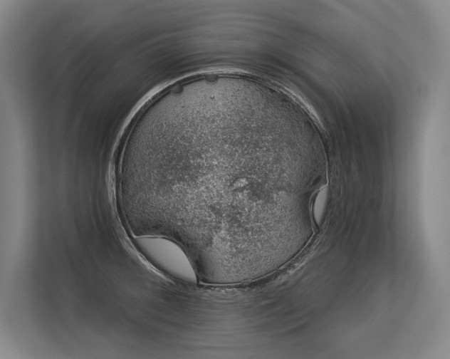 X0000113631092200909181512