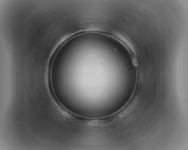 X0000113631093200909181512