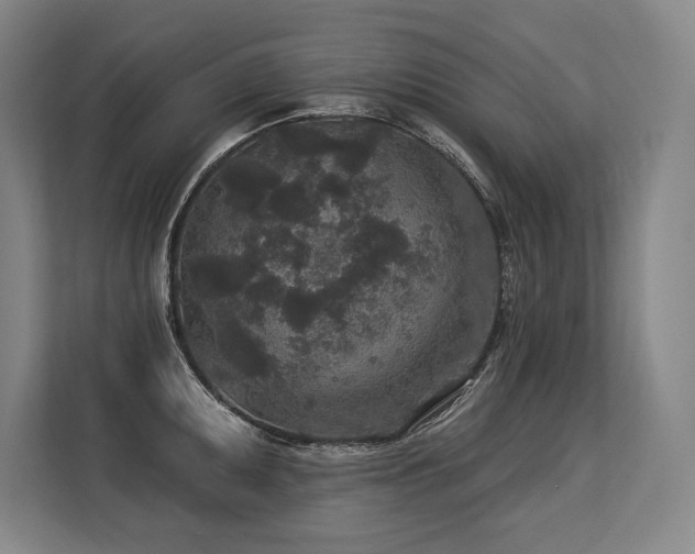 X0000113631095200909181512