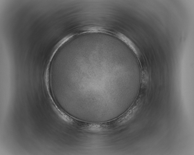 X0000113631098200909181511