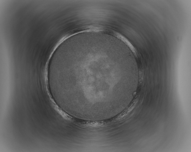 X0000113631099200909181511