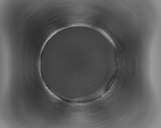 X0000113631100200909181511