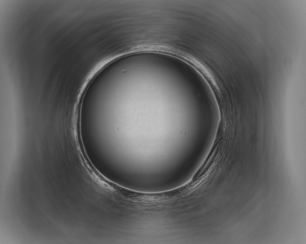 X0000113631102200909181511