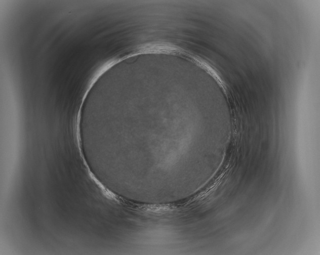 X0000113631103200909181511