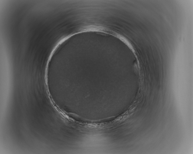 X0000113631104200909181511