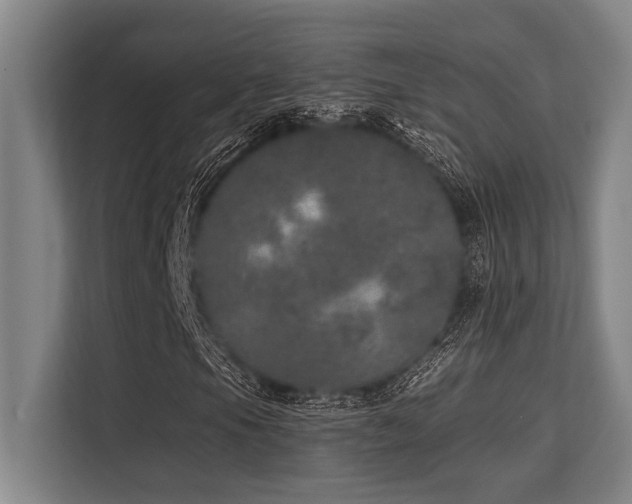 X0000113631105200909181511
