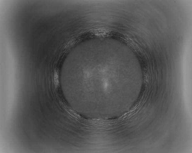 X0000113631106200909181511