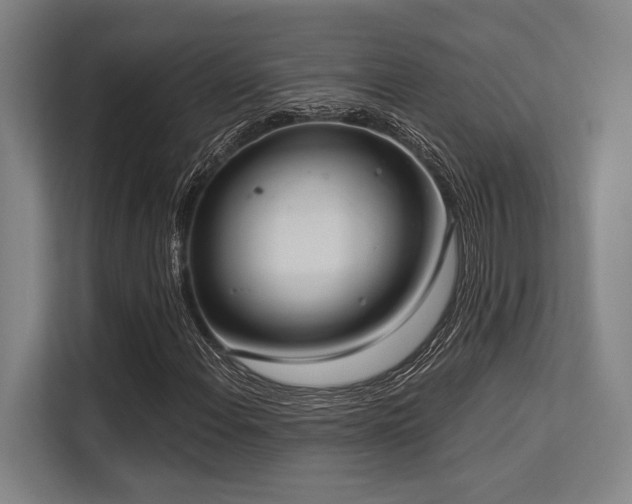 X0000113631108200909181511