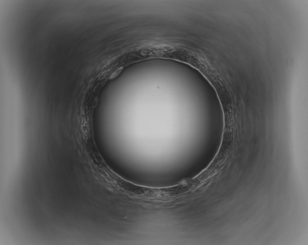 X0000113631109200909181511