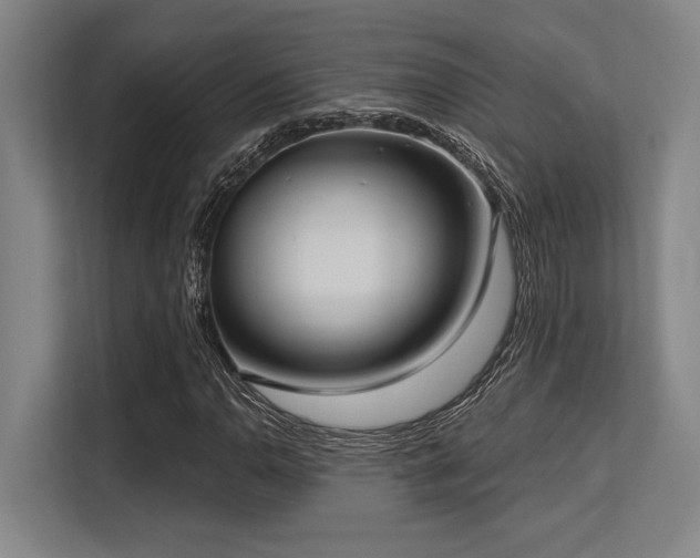 X0000113631110200909181511