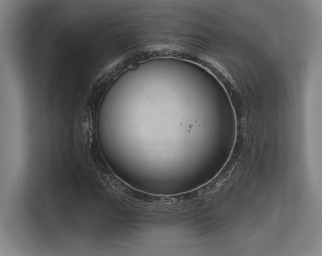 X0000113631111200909181511
