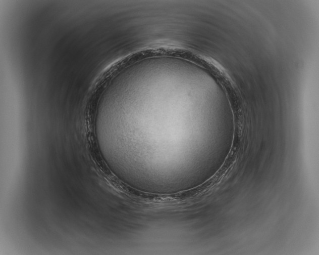 X0000113631112200909181511